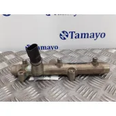 Rampa Inyectora para Audi A6 Avant (4F5)