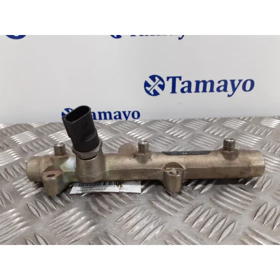 Rampa Inyectora para Audi A6 Avant (4F5)