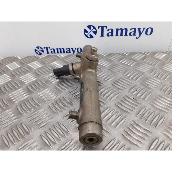 Rampa Inyectora para Audi A6 Avant (4F5)