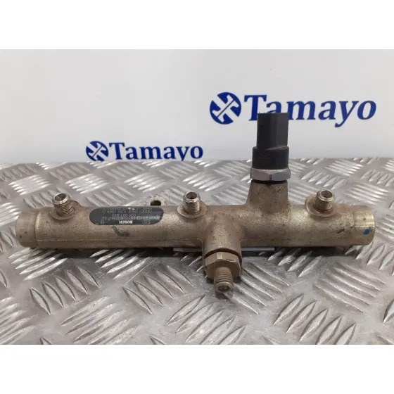 Rampa Inyectora para Audi A6 Avant (4F5)