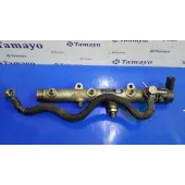 Rampa Inyectora para Audi A6 Avant (4F5)