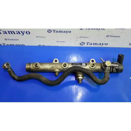 Rampa Inyectora para Audi A6 Avant (4F5)