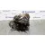 Bomba Inyeccion para Renault Scenic Ii
