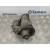 Motor Arranque para Ford Focus Berlina (Cap)