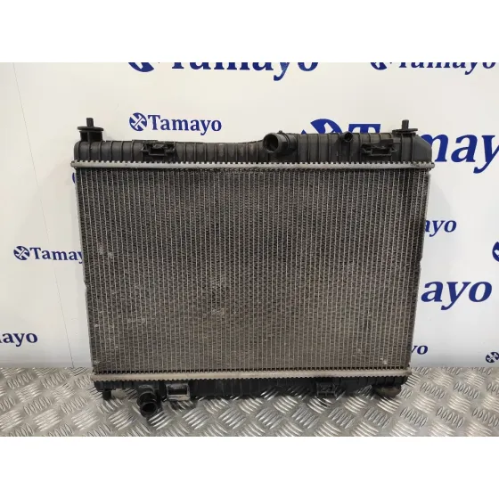 Radiador Agua para Ford Fiesta (Cb1)