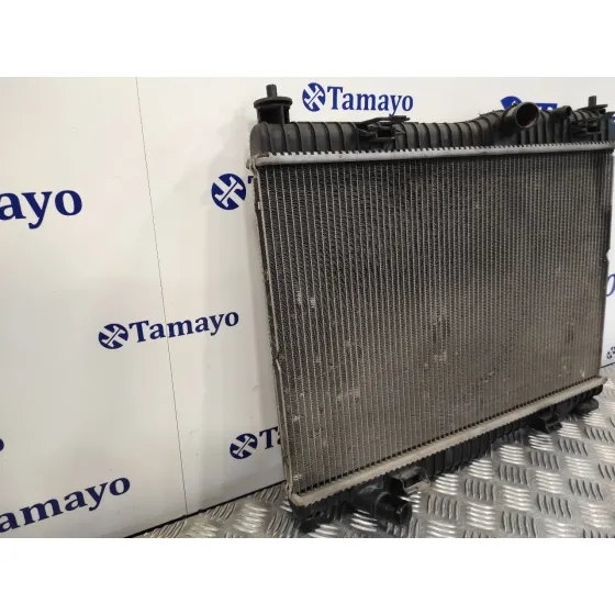 Radiador Agua para Ford Fiesta (Cb1)