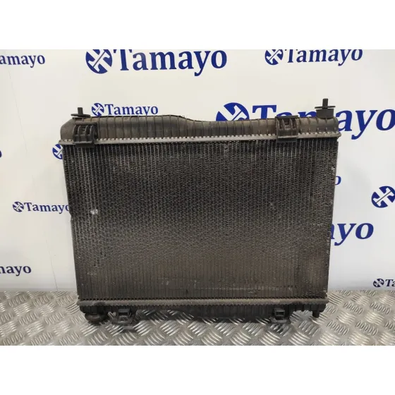 Radiador Agua para Ford Fiesta (Cb1)