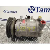 Compresor Aire Acondicionado para Nissan Terrano/Terrano.ii (R20)