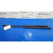 Amortiguadores Maletero / Porton para Citroën C4 Ii (Nc_)