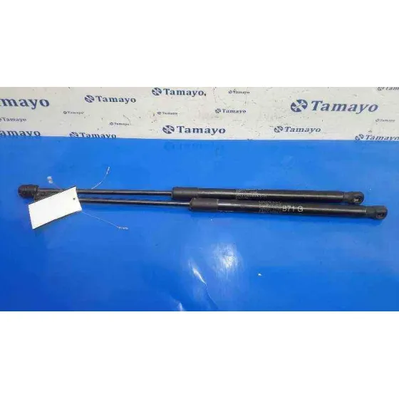 Amortiguadores Maletero / Porton para Citroën C4 Ii (Nc_)