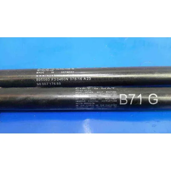 Amortiguadores Maletero / Porton para Citroën C4 Ii (Nc_)