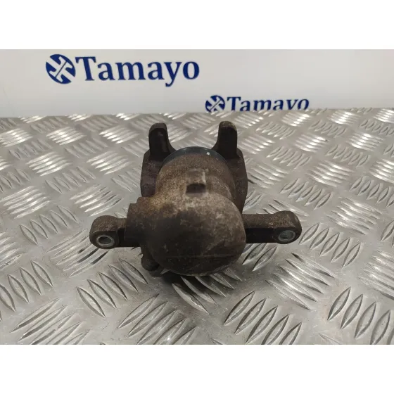 Pinza Freno Trasera Izquierda para Land Rover Freelander (Lr2)