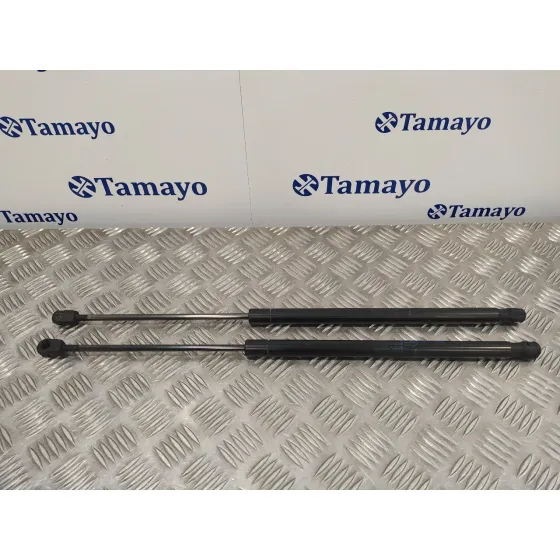 Amortiguadores Maletero / Porton para Land Rover Freelander (Lr2)