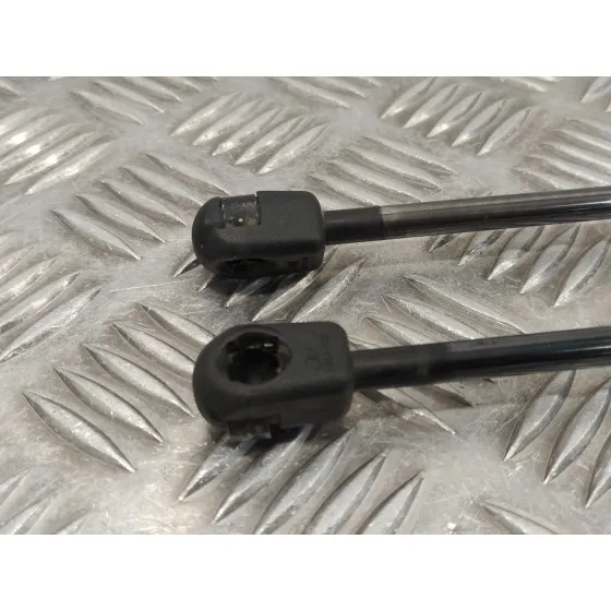 Amortiguadores Maletero / Porton para Land Rover Freelander (Lr2)