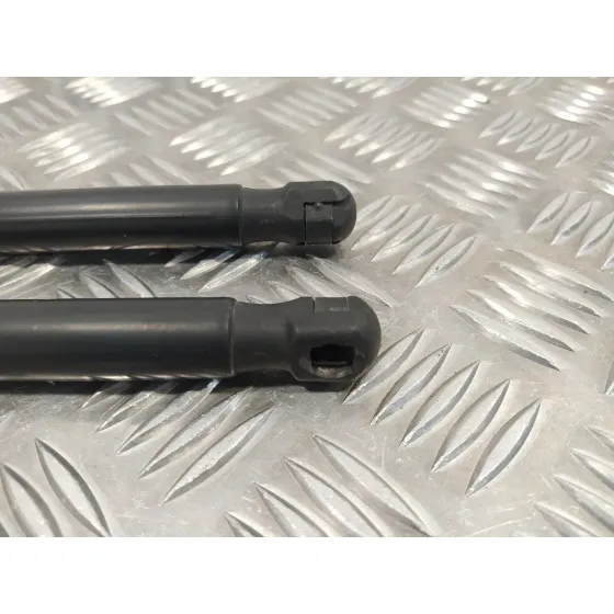 Amortiguadores Maletero / Porton para Land Rover Freelander (Lr2)