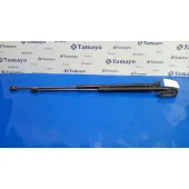 Amortiguadores Maletero / Porton para Ford Focus Lim. (Cb8)