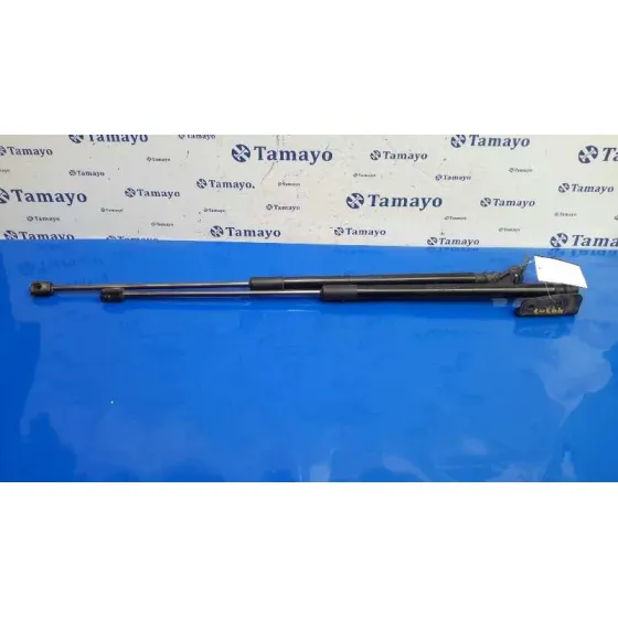 Amortiguadores Maletero / Porton para Ford Focus Lim. (Cb8)
