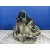 Caja Cambios para Renault Modus