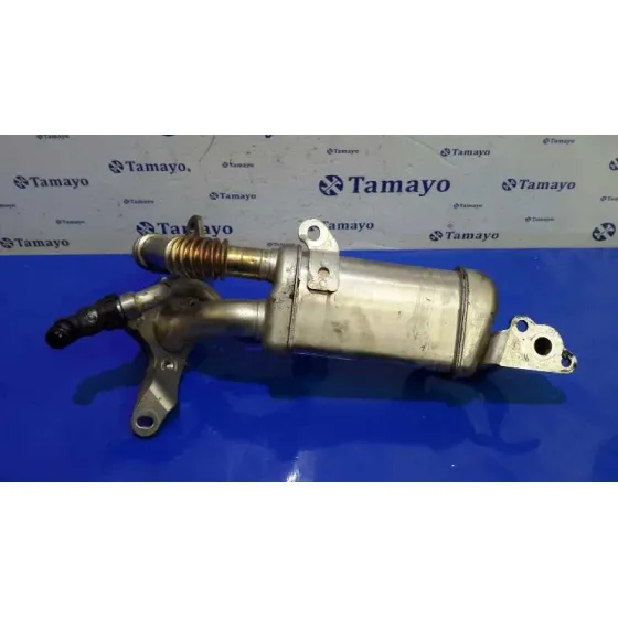 Enfriador Egr para Nissan Nv 200 (M20)