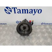 Bomba Direccion para Fiat Doblo (119)