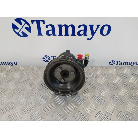 Bomba Direccion para Fiat Doblo (119)