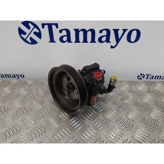Bomba Direccion para Fiat Doblo (119)