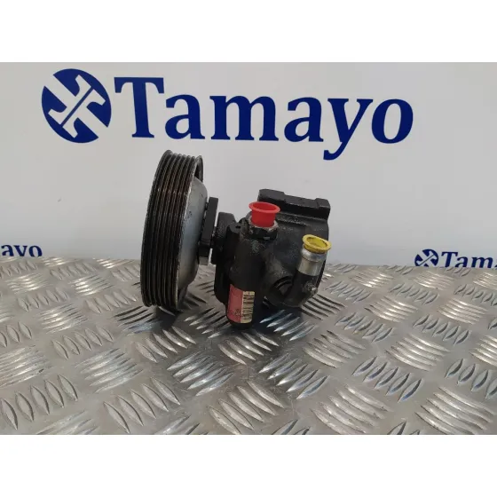 Bomba Direccion para Fiat Doblo (119)