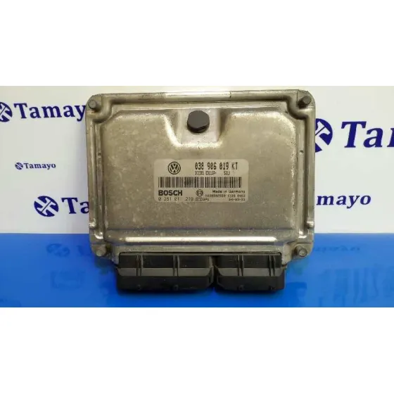 Centralita Motor Uce para Seat Ibiza (6L1)