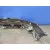 Paragolpes Delantero para Subaru Legacy Familiar/Outback B13 (Bp)