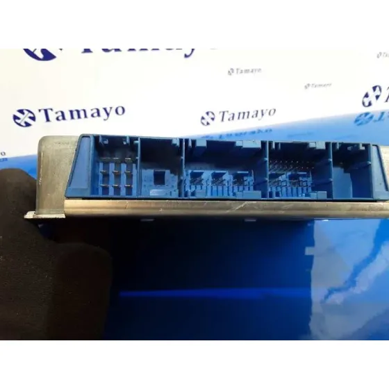 Centralita Cambio Automatico para Bmw Serie 5 Berlina (E39)