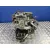 Caja Cambios para Nissan Almera (N16/E)