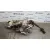 Columna Direccion para Nissan Qashqai (J11)