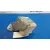 Modulo Electronico para Mercedes-Benz Clase Slk (W170) Roadster