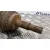 Transmision Delantera Derecha para Toyota Rav 4 (A2)