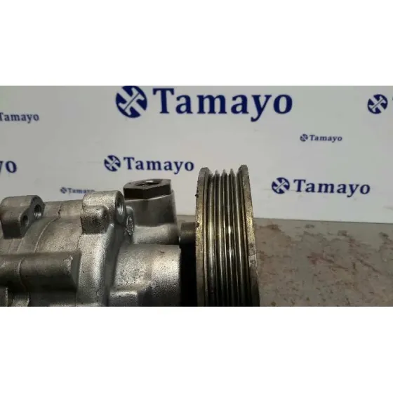 Bomba Servodireccion para Fiat Doblo (119)