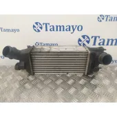 Intercooler para Peugeot 407