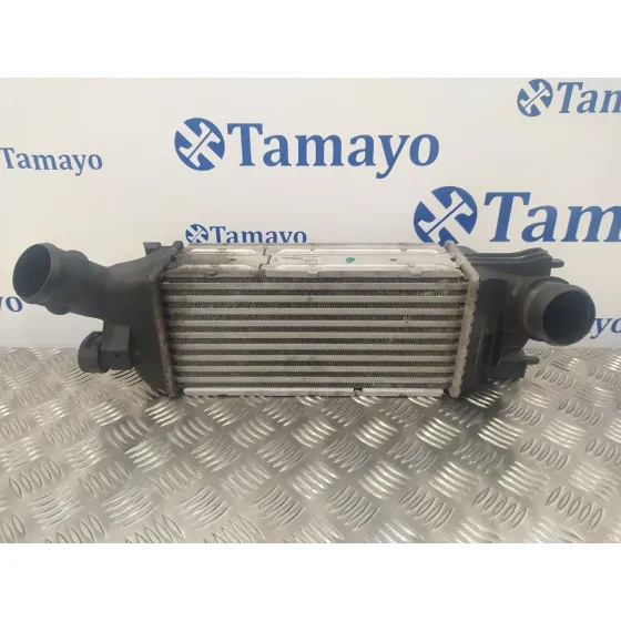Intercooler para Peugeot 407