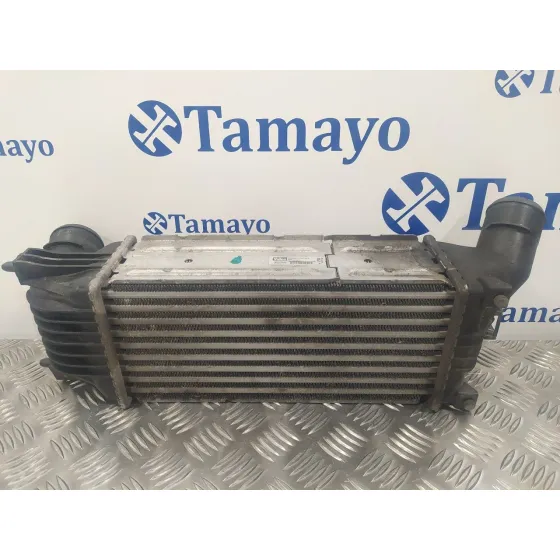 Intercooler para Peugeot 407