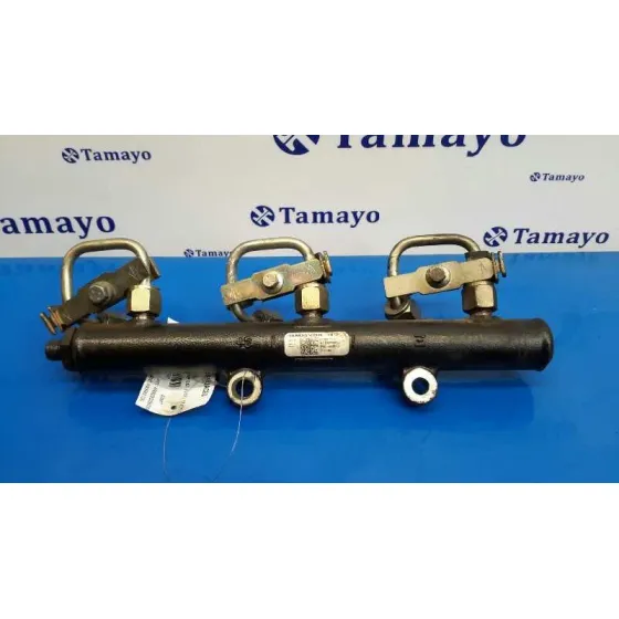 Rampa Inyectora para Peugeot 407 Coupe