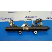 Rampa Inyectora para Peugeot 407 Coupe