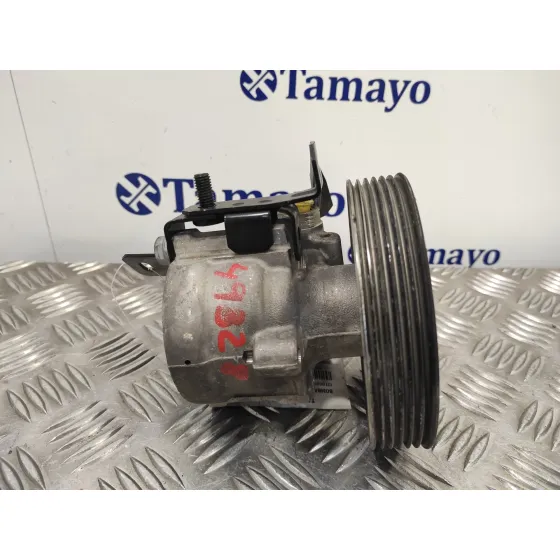 Bomba Direccion para Citroën Nemo