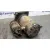 Motor Arranque para Chevrolet Blazer (Neu)
