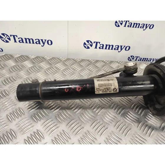 Amortiguador Delantero Izquierdo para Bmw Serie 3 Coupe (E46)