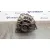 Alternador para Audi A4 Avant (B5)