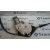 Elevalunas Delantero Derecho para Peugeot 307 Break / Sw (S1)