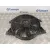 Electroventilador para Kia Carens