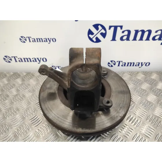Mangueta Delantera Derecha para Renault Scenic Ii