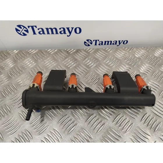 Rampa Inyectora para Peugeot 206 Cc