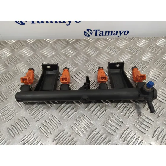Rampa Inyectora para Peugeot 206 Cc