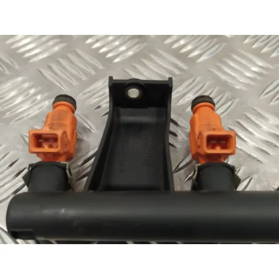 Rampa Inyectora para Peugeot 206 Cc